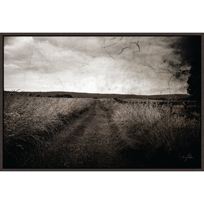«Path V» par Brandon Luther