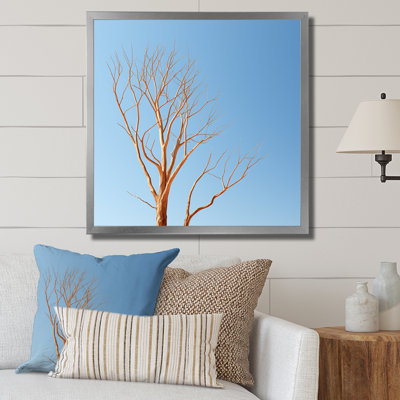 «Blue Timbers Trace Photo I», reproduction sur toile