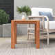 Hodges 20'' Teak Outdoor Side Table