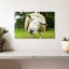 Brampt Nosy Sheep-108869379
