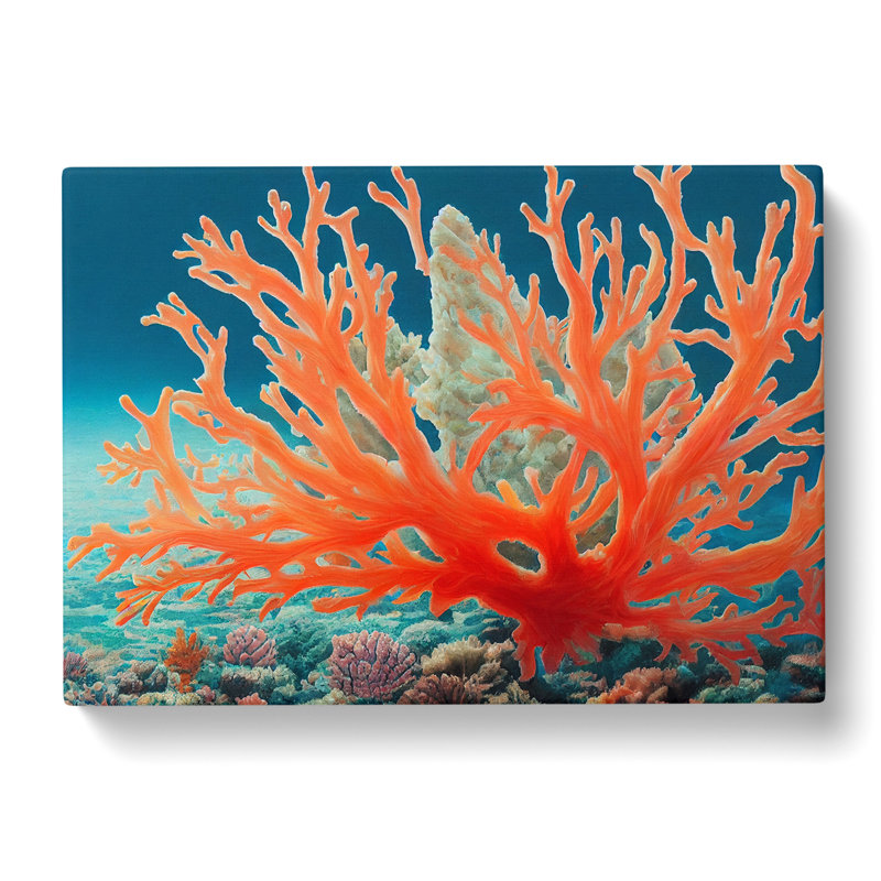 The Coral Reef Vol.1 - Wrapped Canvas, 35cm H x 50cm W x 3cm D
