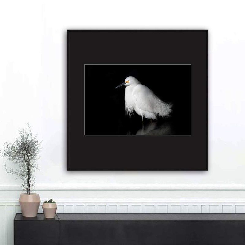 H01 A Bird debout, reproduction sur toile, H 24 po x l 24 po, Noir