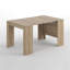 Rashik Extendable Dining Table