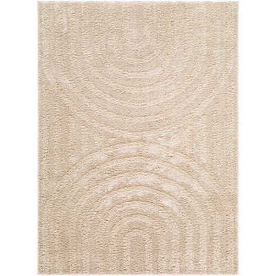 Farshid Machine Woven Area Rug
