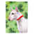 Bull-terrier sélectionné