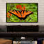 «Metallic Butterfly», reproduction de photo-31936095-31936767