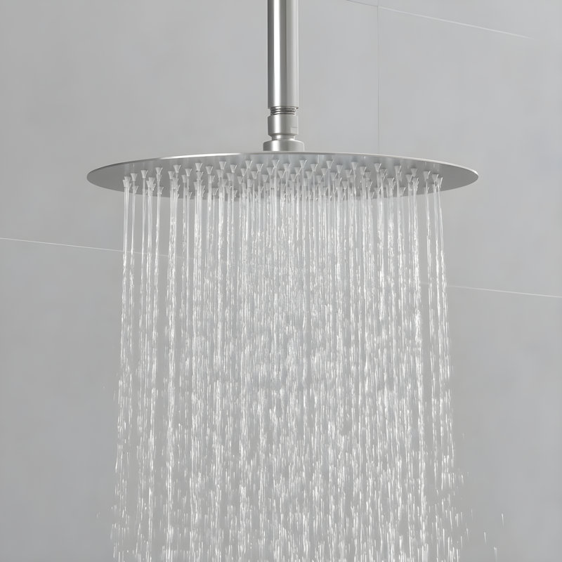 10-Inch High-Pressure Rain Shower Head With Shower Arm, Brushed Nickel
