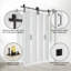 Portes de grange doubles en verre givré 1-Lite avec ensemble de quincaillerie d'installation-105534460