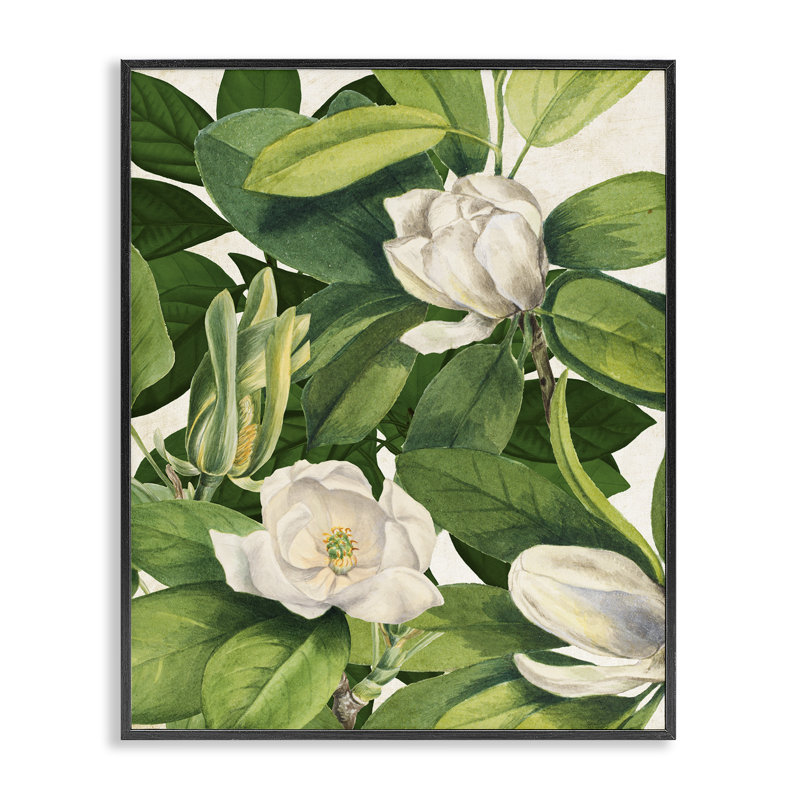 «Giclee Art» par Susan Arnot, H 14 po x l 11 po, Giclée encadrée noir minuit
