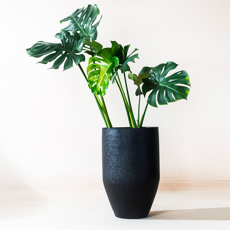 Grand pot de fleurs d'intérieur / extérieur en métal fait à la main avec trou de drainage, Médium, Noir