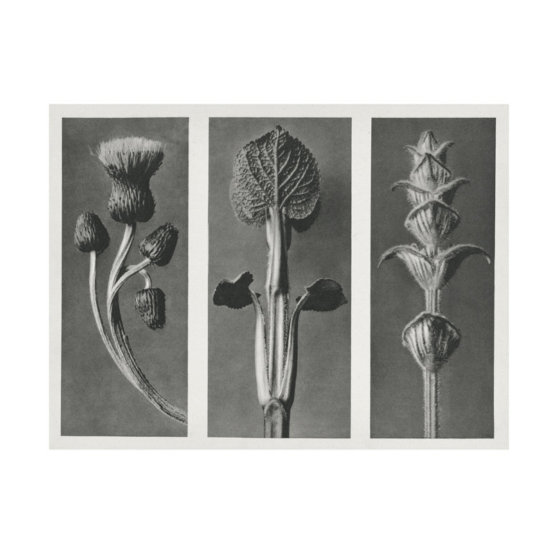 "Triptyque II" sur toile par bolologiste bolivien, par bolchine blossfeldt, H 14 po x l 19 po x P 2 po