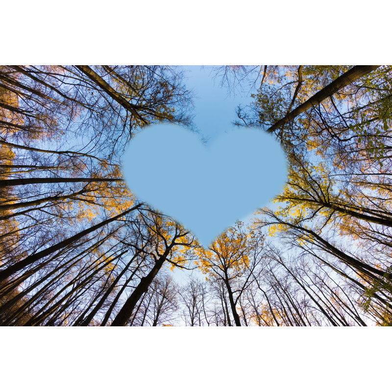 Siegert Autumn Tree Tops - Wrapped Canvas Print, 30cm H x 46cm W x 3.8cm D
