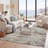 Abstract Indoor Rug-990482750