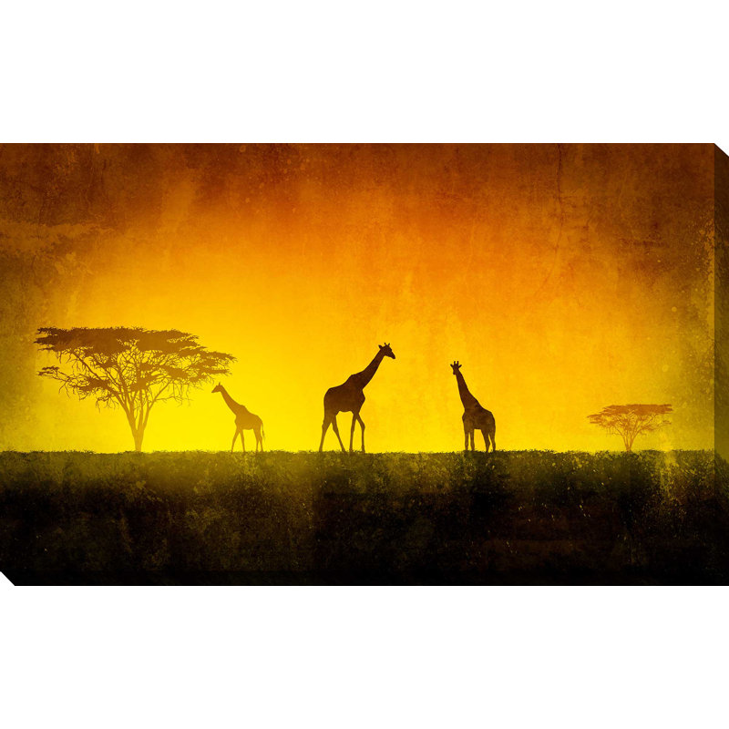 African Plains - Wrapped Canvas Print, 28" H x 48" W x 1.5" D