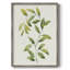 Wilted Vine II, reproduction encadrée - bois massif-1993305794