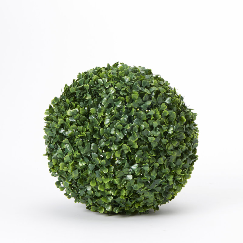 Topiaire buis ball plante, H 10,5 po x l 10,5 po x P 10,5 po