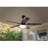 Lujaine 52'' Ceiling Fan with LED Lights