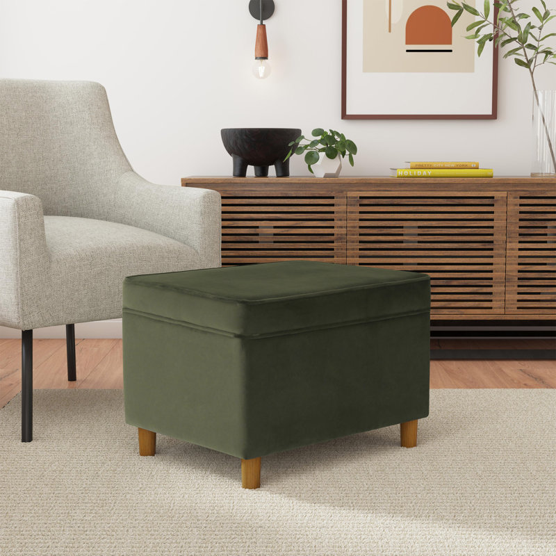 Repose-pieds avec rangement de 24 po Kelemen, Velours vert Loden