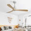 Ventilateur de plafond 52 pouces d'extérieur avec moteur réversible