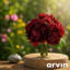 Bouquet de pivoines 11 po 11 po-1560922916