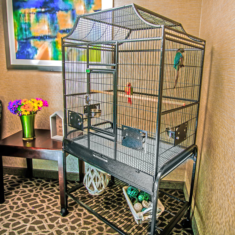 Grande cage à oiseaux noire victorienne au dernier étage, Noir, H 61 po x l 32 po x P 21 po