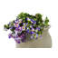 Baril de pluie Askerby Amphora-973106592