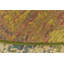 Tapis d'intérieur / extérieur multicolore à motif abstrait Trona-29306108