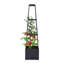 Plant Stand