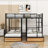 Kirkbride Kids Bunk Bed with Drawers -1378345729