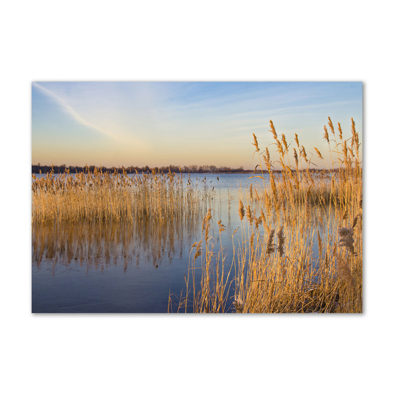 Watercane 1 Piece Wrapped Canvas Wall Art