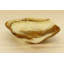 Centre de table en onyx beige Deimos