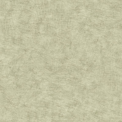 Pampas Plain Brushed Texture Misty Green Wallpaper