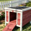Small Wooden Dog House