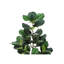 Plante artificielle