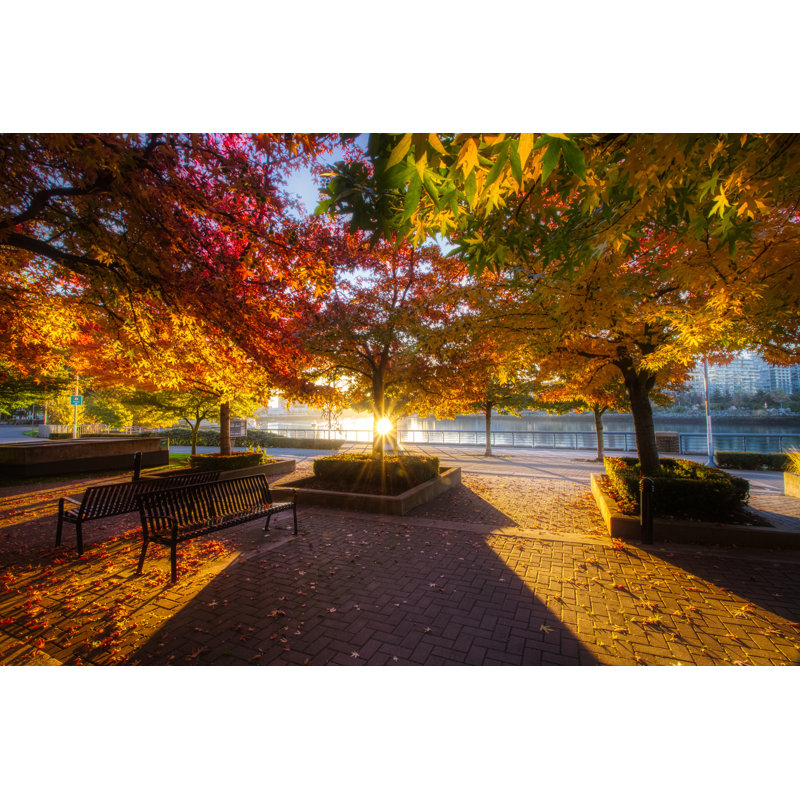 "Delogu Colorful Autumn Morning" sur toile par Focqus, photographie de Llc, H 24 po x l 36 po