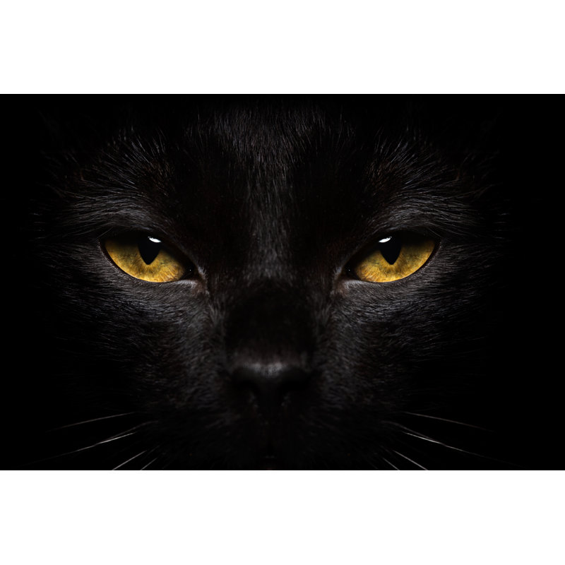 Halloween Black Cat - Wrapped Canvas Print, 20cm H x 30cm W