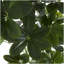 Arbre artificiel vert Faux Foliage