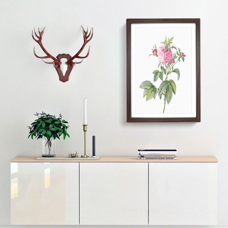 Pink Agatha Roses by Pierre-Joseph Redoute - Picture Frame Painting Print, 65cm H x 48cm W x 2cm D, Walnut Framed