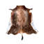 Tapis Bhavesh Blesbok