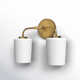 Fitz 2 Light Frosted Dimmable Vanity Light