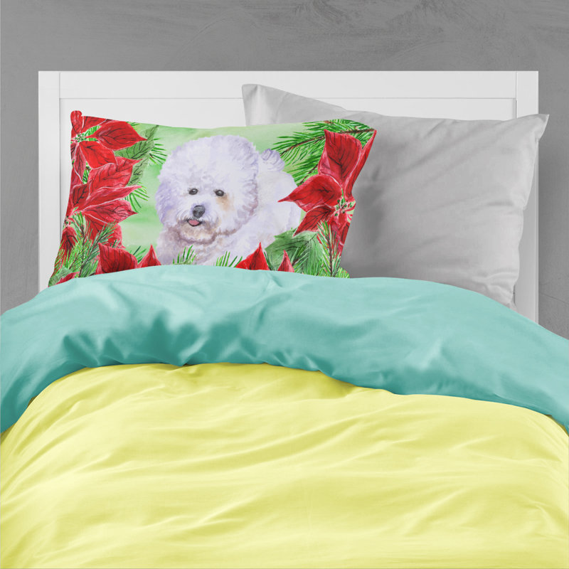 Microfiber, Bichon Frise