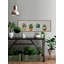 Cuatro Cactus 1 Piece Floater Frame Wall Art on Canvas-735124677