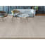 Area Rug in Gray