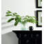 Rouleau de papier peint L 33 pi x l 27,5 po Wilkin-59606100