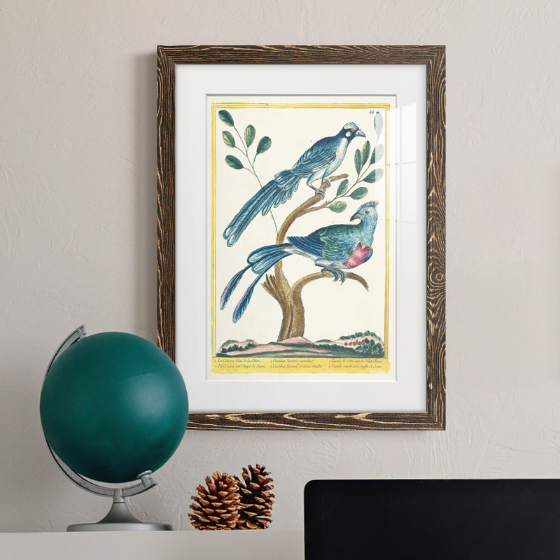 Pastel Birds VI Premium encadré mat - prêt à être accroché, Cadre noyer, H 44 po x l 31 po x P 1 po