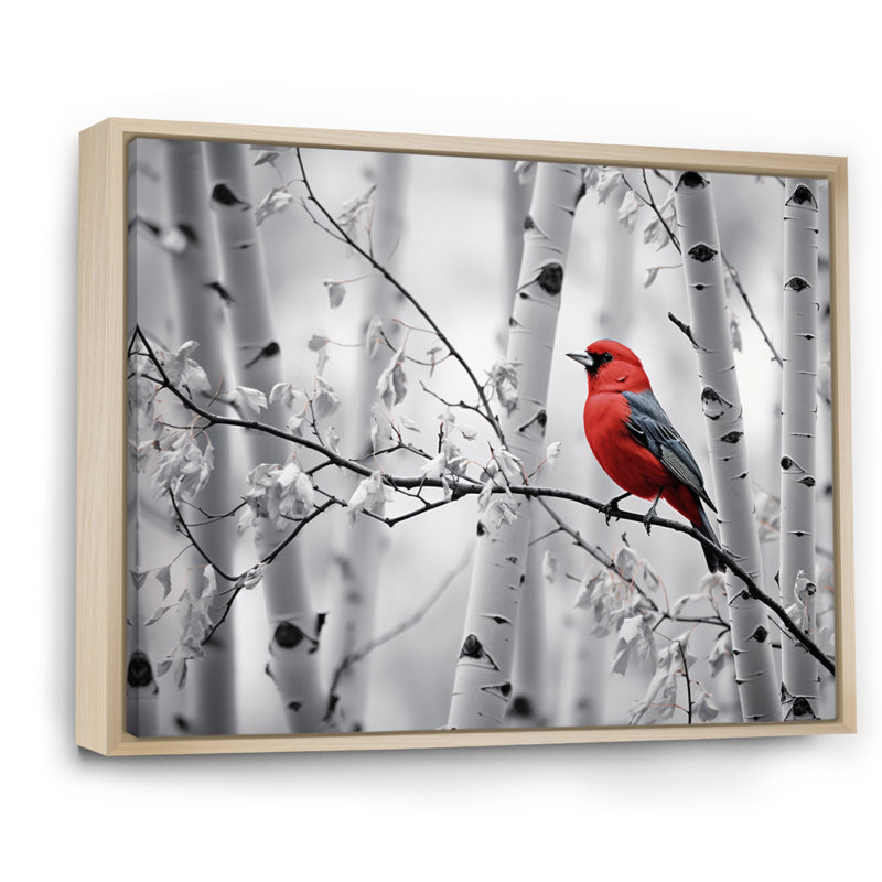 Martinella, oiseau rouge-gris en forêt II - impression, H 12 po x l 20 po x P 1 po, Cadre naturel flottant