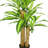 Kerr 39'' Faux Dracaena Tree in Pot
