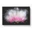Petals Of A Pink And White Gerbera - Wrapped Canvas-56641725