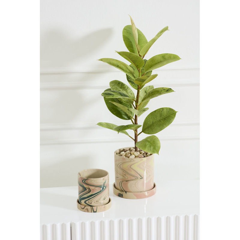 Melage Pot with Saucer 5.5"x 5.5", 5.5" H x 5.5" W x 5.5" D