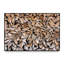 « pearson-contre the grain » par 1x-floater, impression sur toile